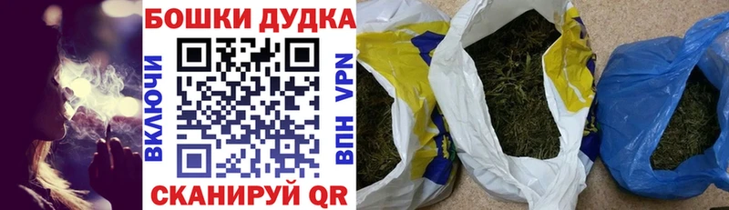 Шишки марихуана конопля  где продают наркотики  Шали 